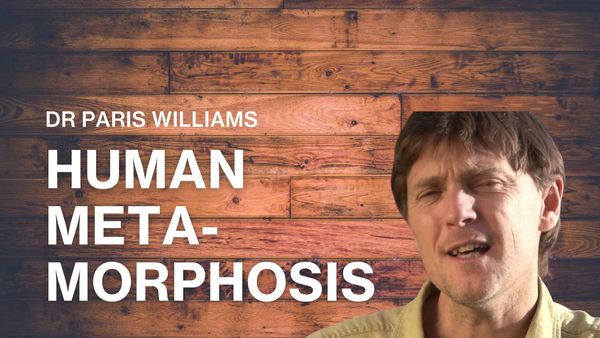 Dr Paris Williams, The Human Metamorphosis