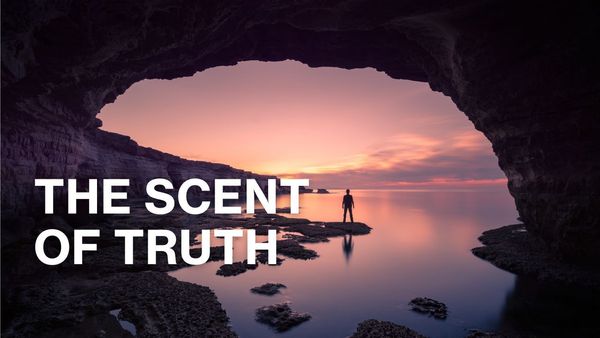 The Scent of Truth